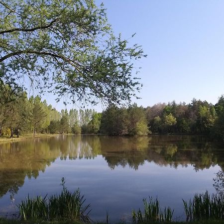 Roulottes Du Chalet Des Pins Rougeou ภายนอก รูปภาพ