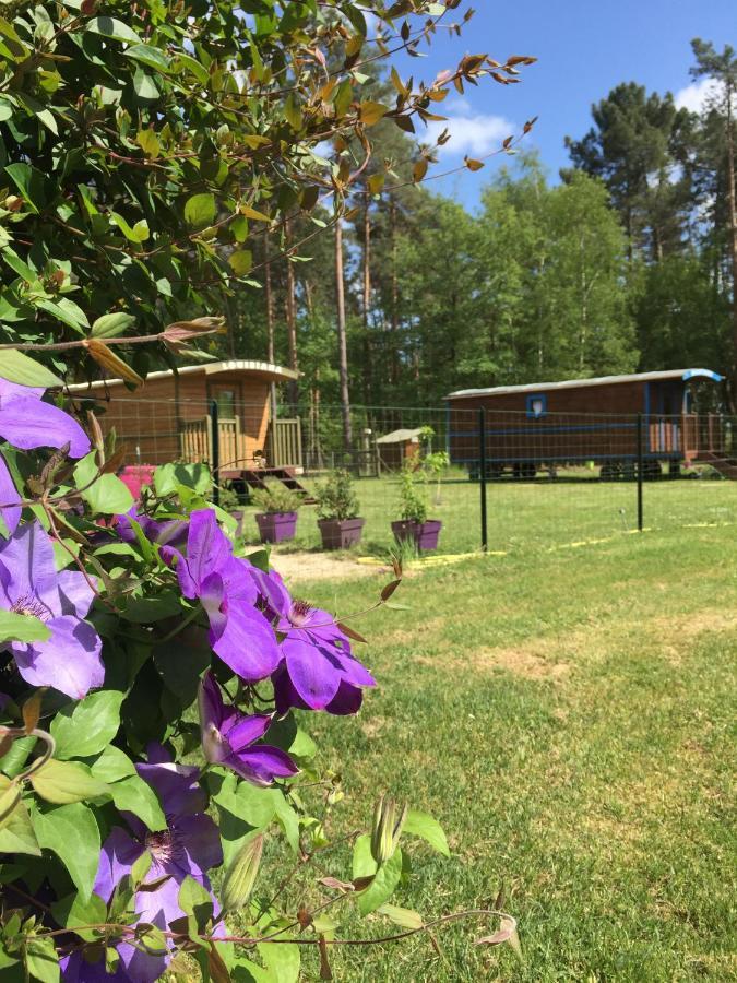 Roulottes Du Chalet Des Pins Rougeou ภายนอก รูปภาพ
