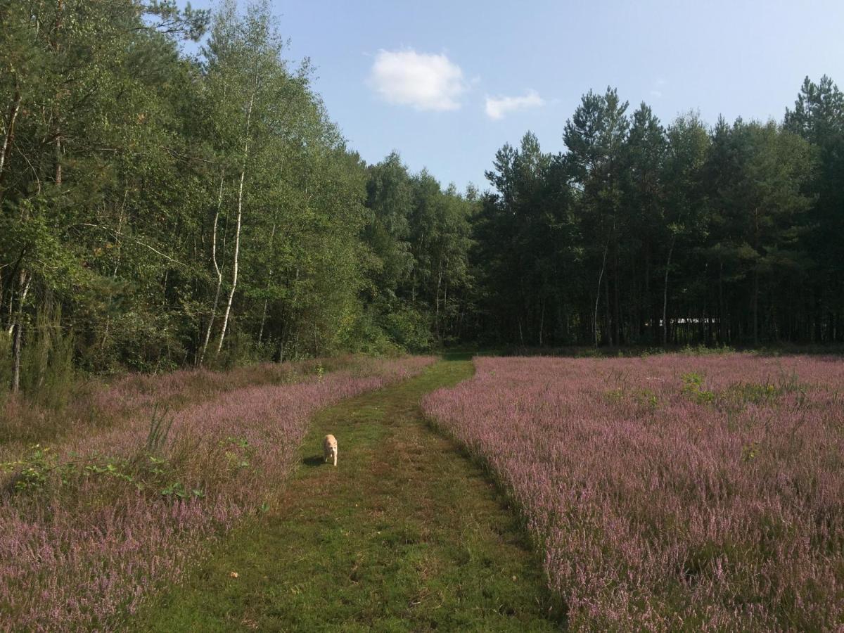 Roulottes Du Chalet Des Pins Rougeou ภายนอก รูปภาพ
