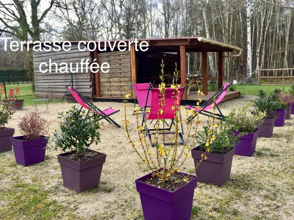 Roulottes Du Chalet Des Pins Rougeou ภายนอก รูปภาพ
