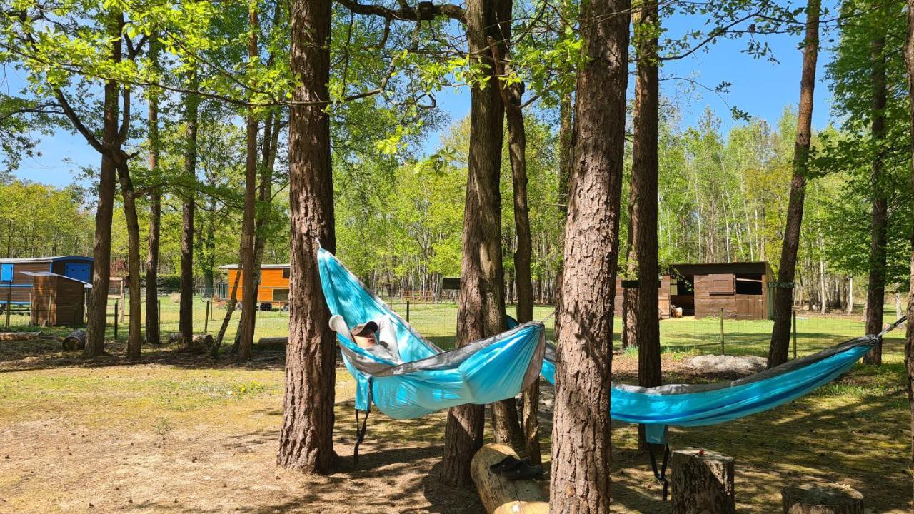 Roulottes Du Chalet Des Pins Rougeou ภายนอก รูปภาพ